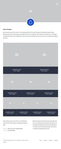 droppler mini website template desktop screenshot