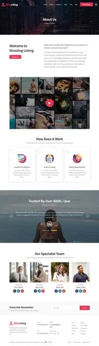 directing mini website template desktop screenshot