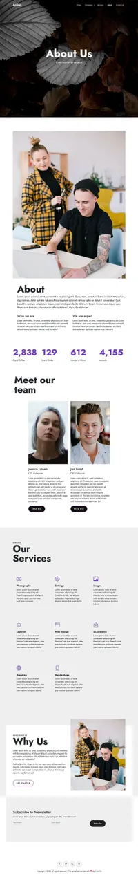 action mini website template desktop screenshot