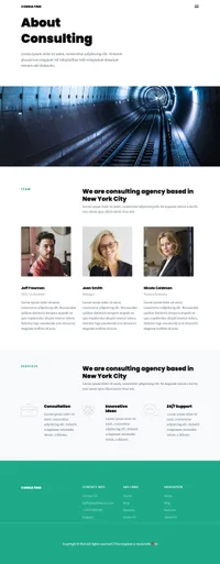 consulting mini website template desktop screenshot