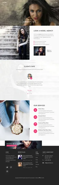 look mini website template desktop screenshot