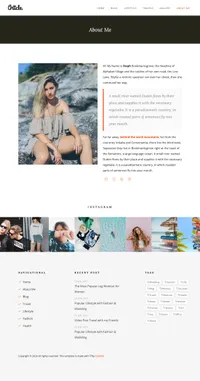 article mini website template desktop screenshot