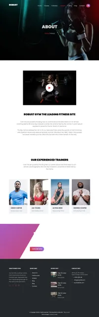 robust mini website template desktop screenshot