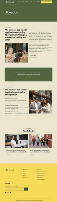 consul mini website template desktop screenshot