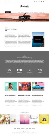 original mini website template desktop screenshot