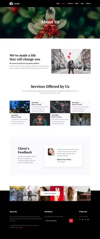 flash mini website template desktop screenshot