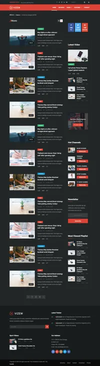vizew mini website template desktop screenshot