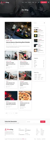 directing mini website template desktop screenshot