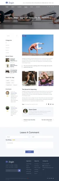 zogin mini website template desktop screenshot