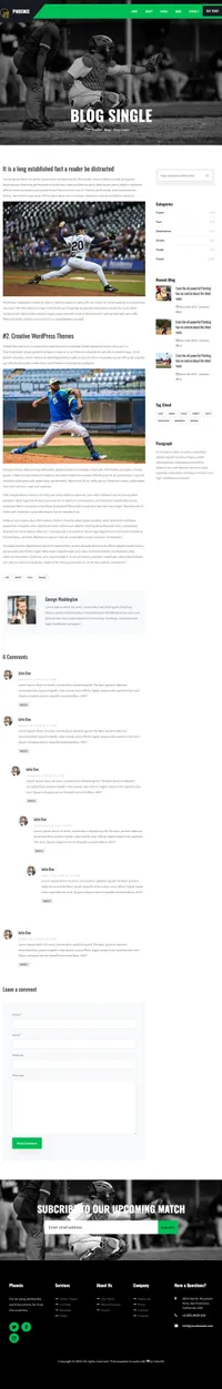 phoenix mini website template desktop screenshot