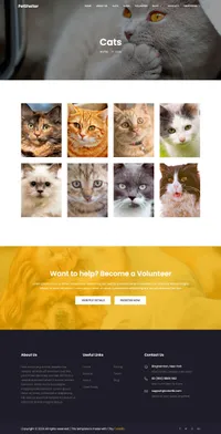 animal-shelter mini website template desktop screenshot