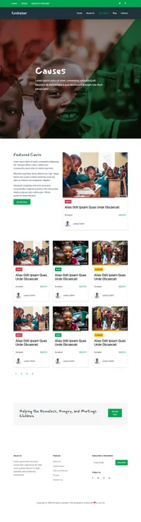 fundraiser mini website template desktop screenshot