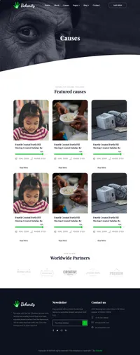 bcharity mini website template desktop screenshot