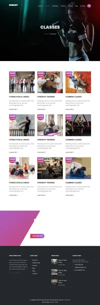 robust mini website template desktop screenshot