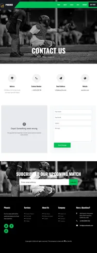phoenix mini website template desktop screenshot