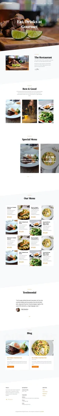 gourmet mini website template desktop screenshot