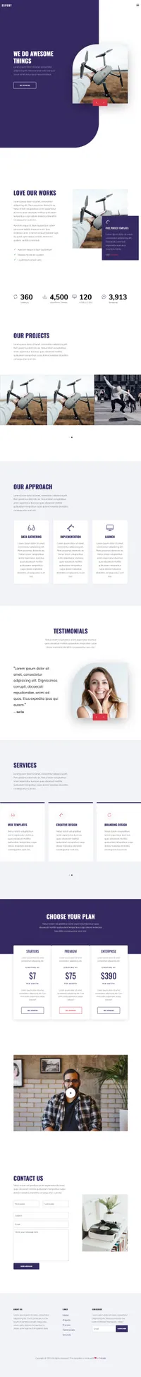 expert mini website template desktop screenshot