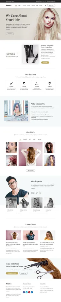 akame mini website template desktop screenshot