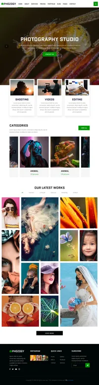 phozogy mini website template desktop screenshot