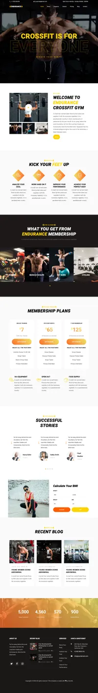 endurance mini website template desktop screenshot