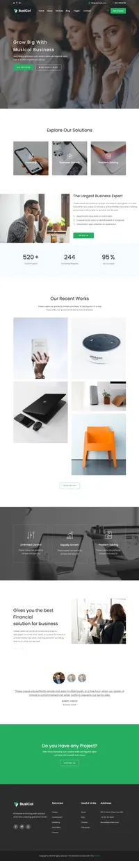 busicol mini website template desktop screenshot