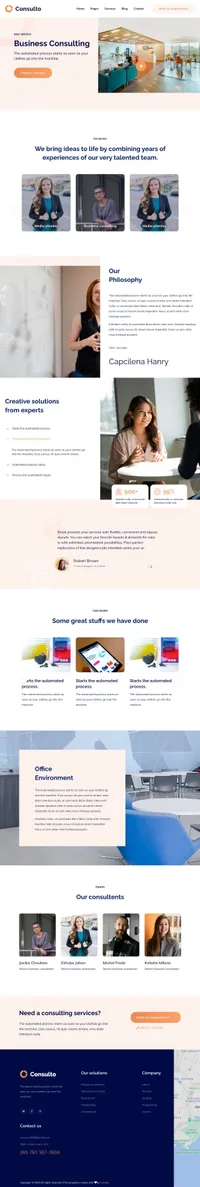 consulto mini website template desktop screenshot