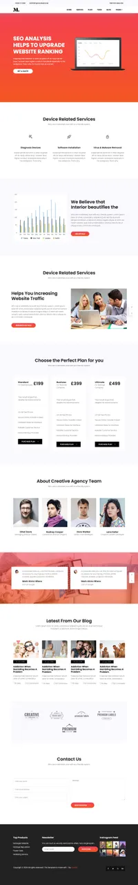 seo mini website template desktop screenshot