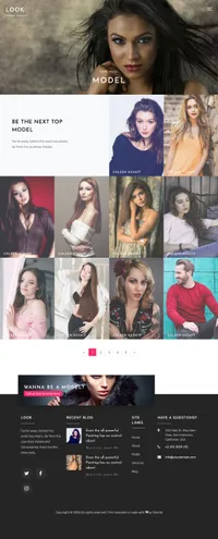 look mini website template desktop screenshot