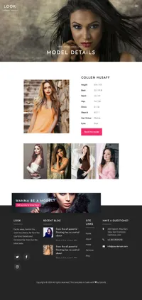 look mini website template desktop screenshot