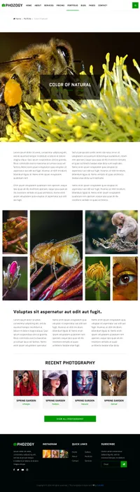 phozogy mini website template desktop screenshot