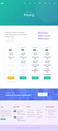 saita mini website template desktop screenshot