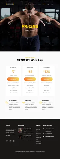 endurance mini website template desktop screenshot