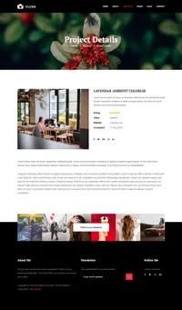 flash mini website template desktop screenshot