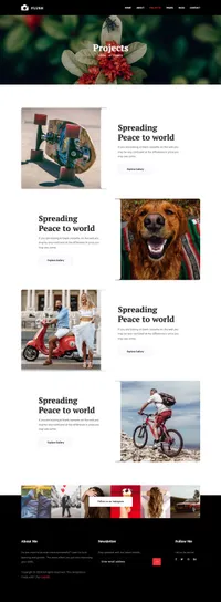 flash mini website template desktop screenshot