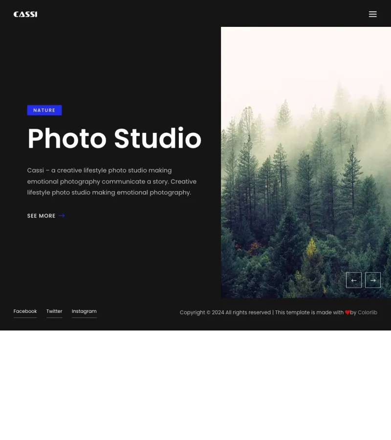 cassi website template desktop screenshot