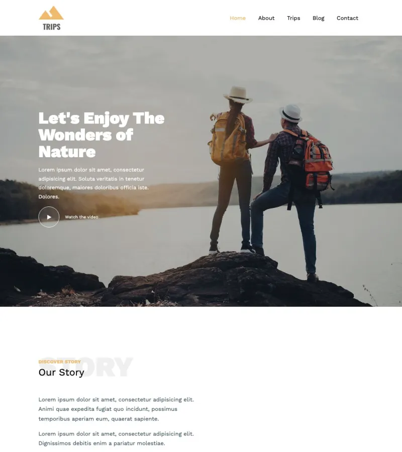 Trips Travel Agency template