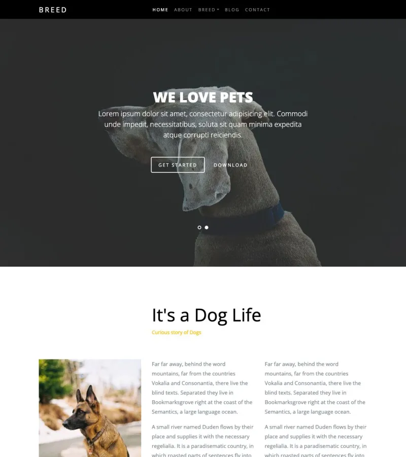 Breed Veterinarian template