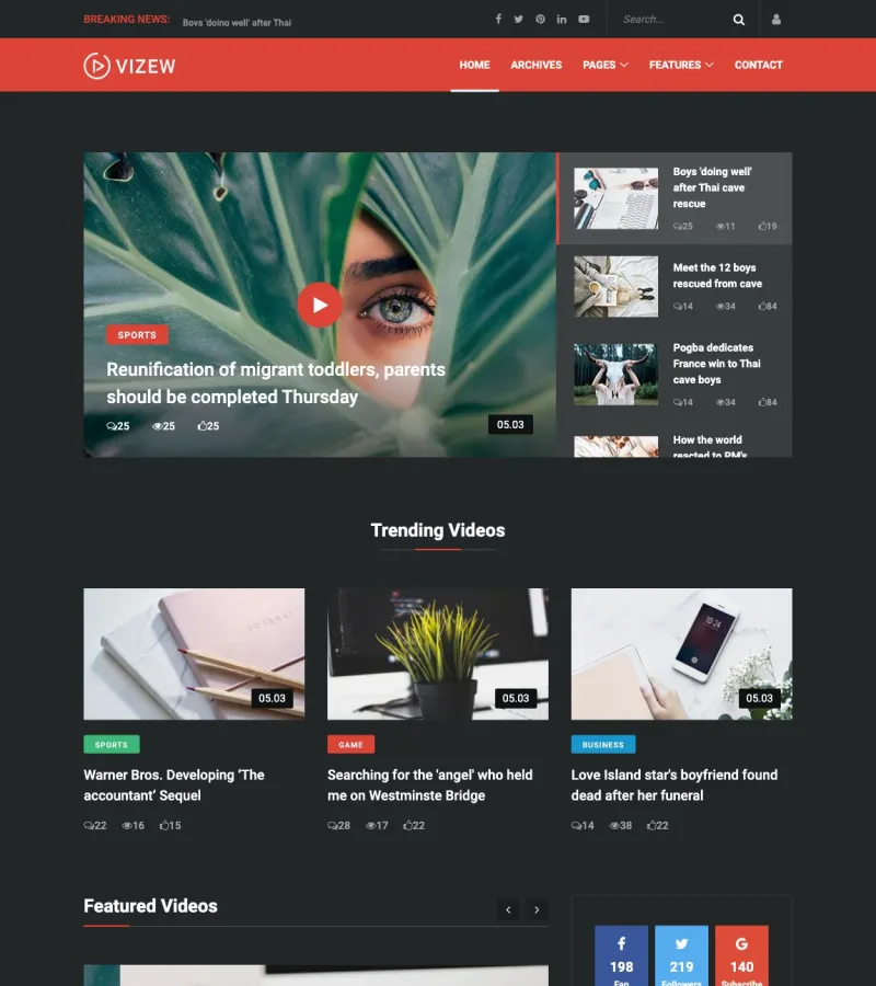 vizew website template desktop screenshot