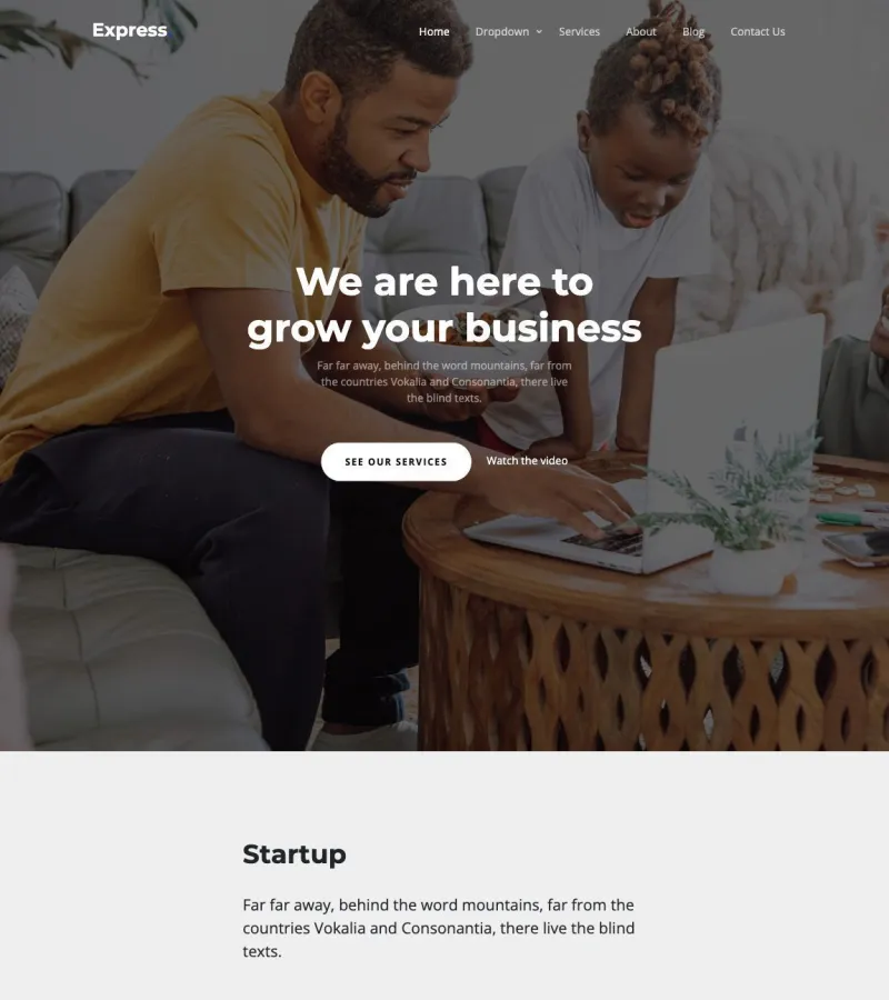 Express website template desktop screenshot