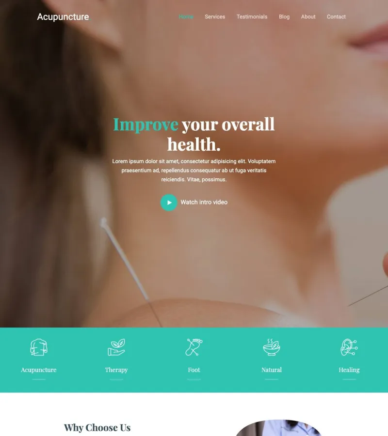 acupuncture website template desktop screenshot