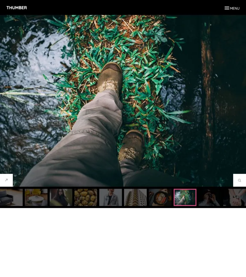 thumber website template desktop screenshot