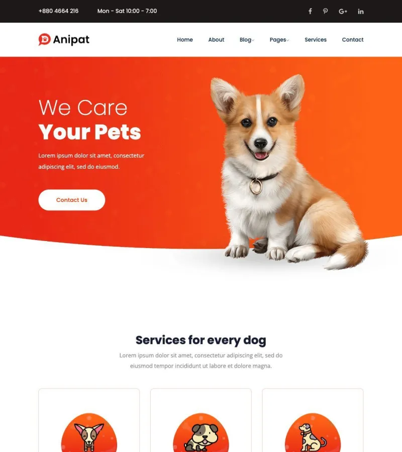 Anipat website template desktop screenshot