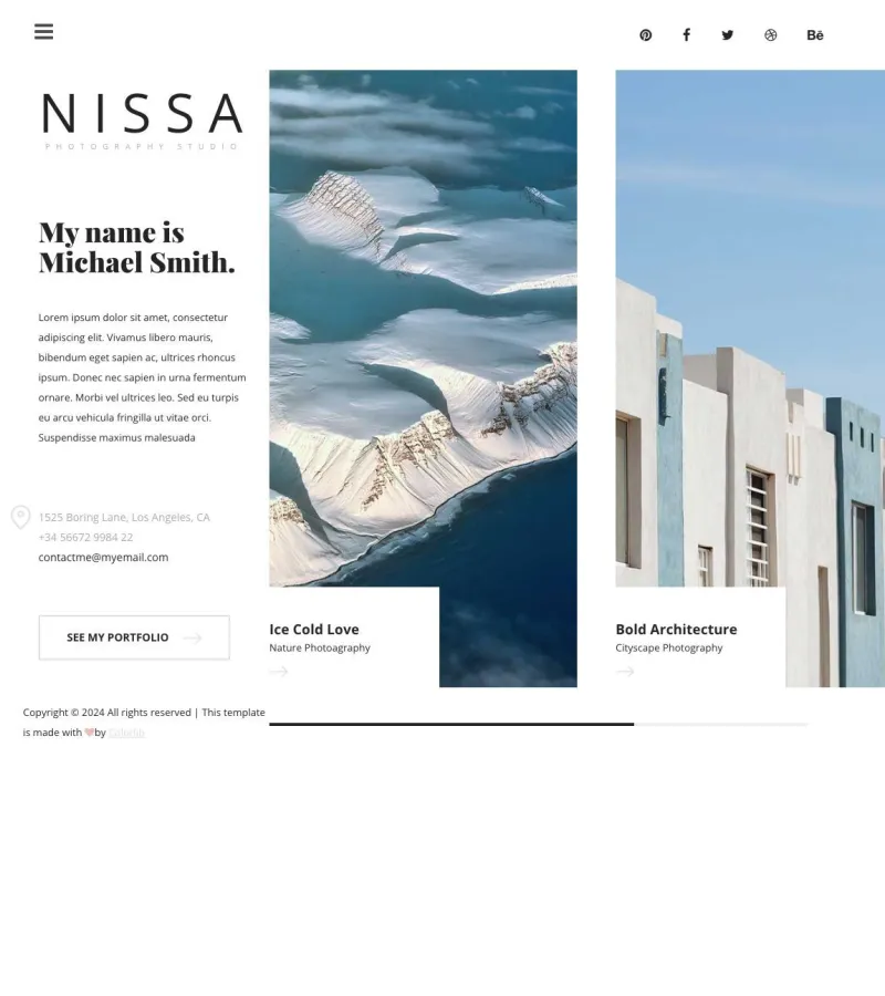 nissa website template desktop screenshot
