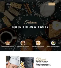 feliciano mini website template desktop screenshot