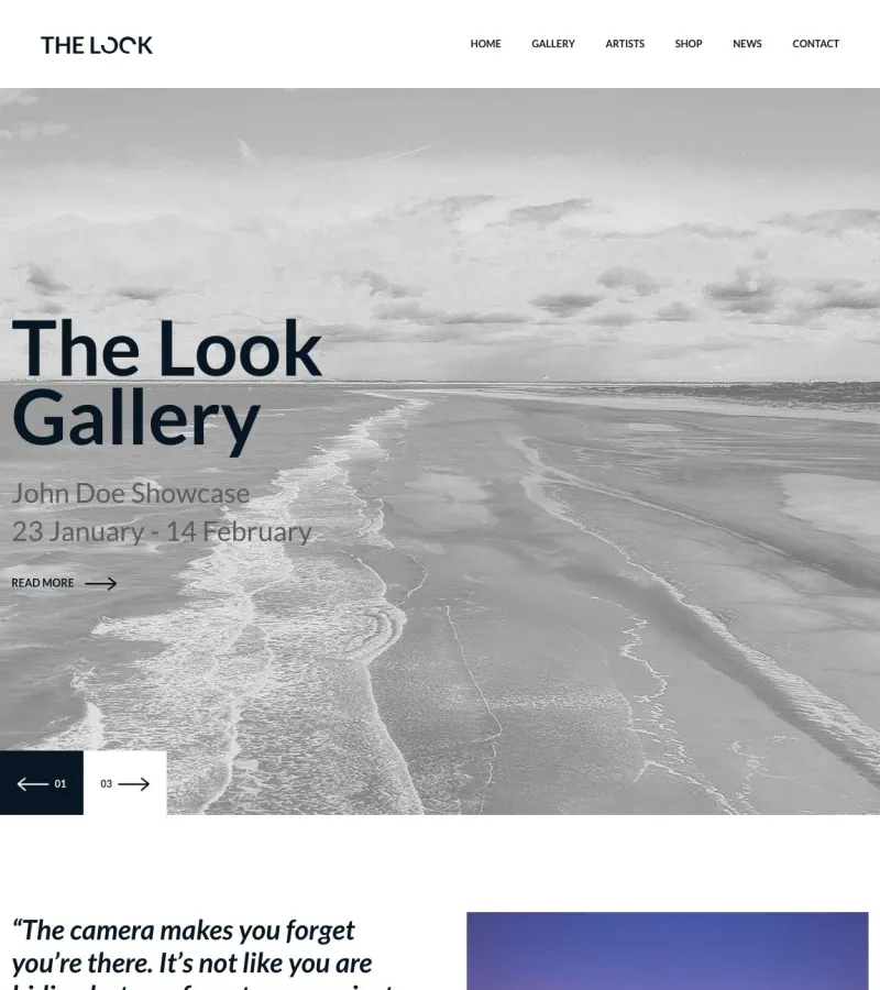thelook website template desktop screenshot