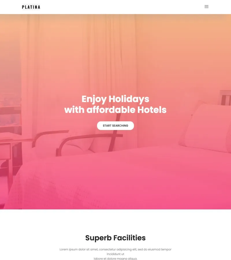 Platina website template desktop screenshot