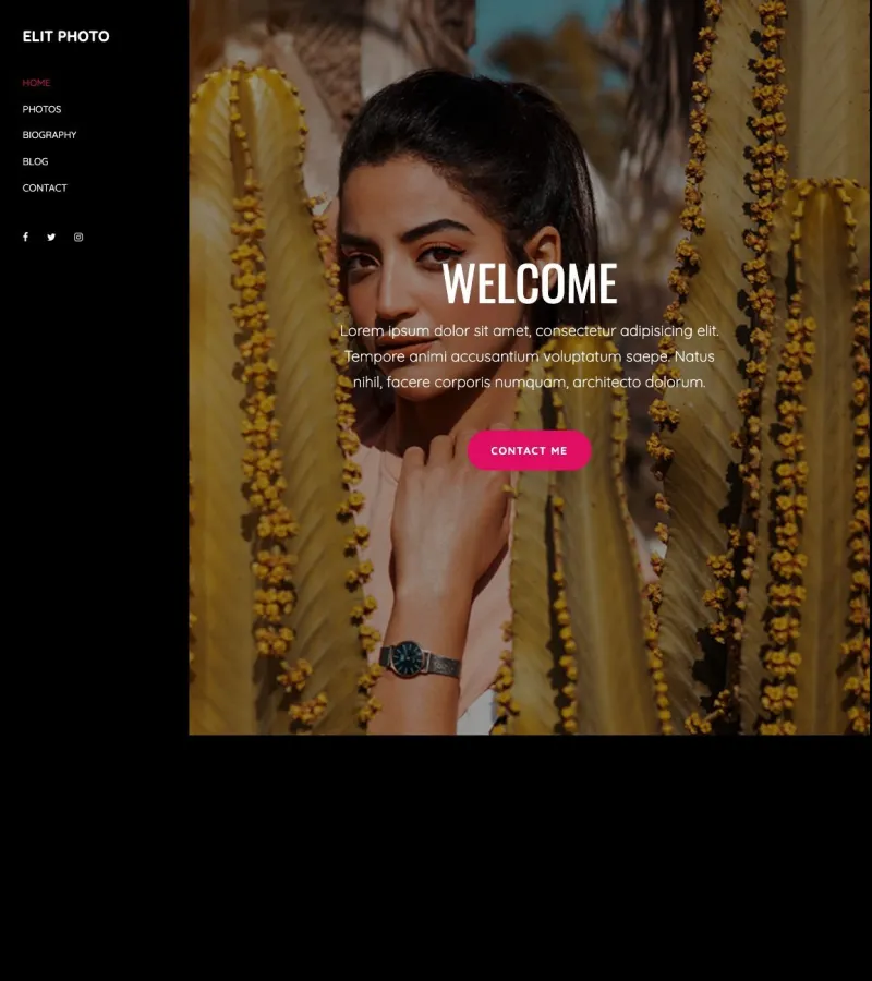 elit website template desktop screenshot