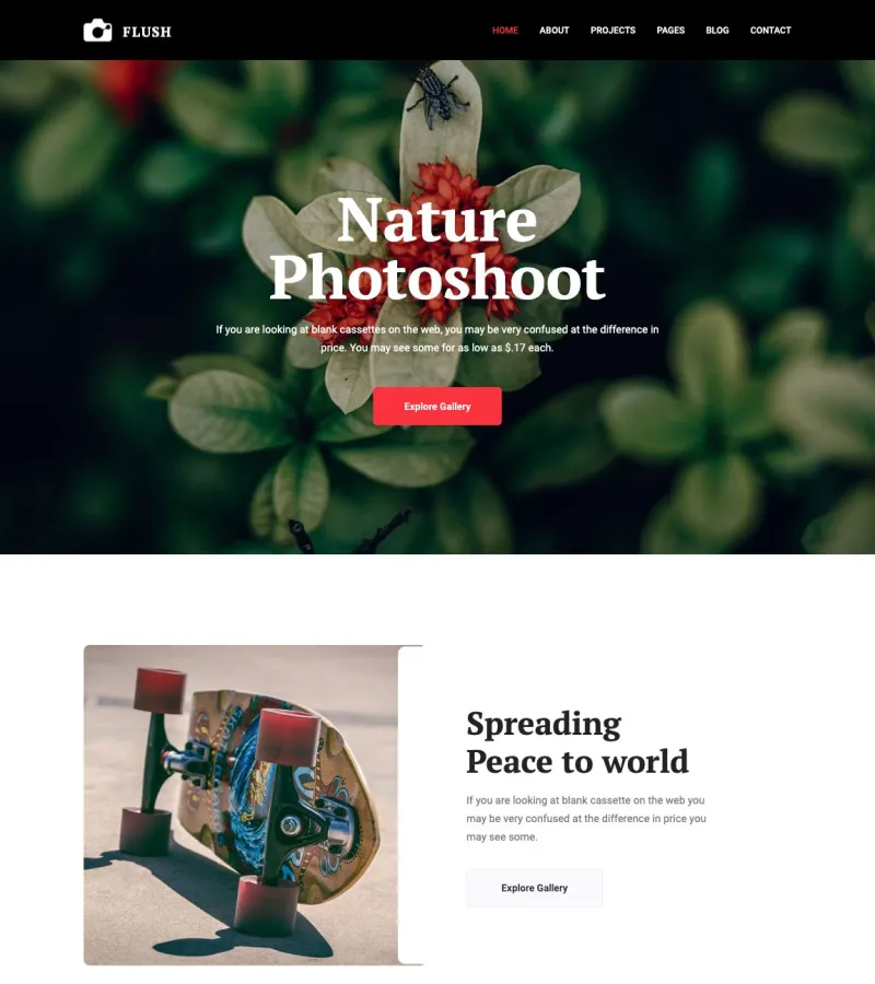 flash website template desktop screenshot