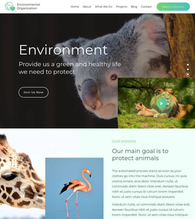 Environmental Organization Landing Page template