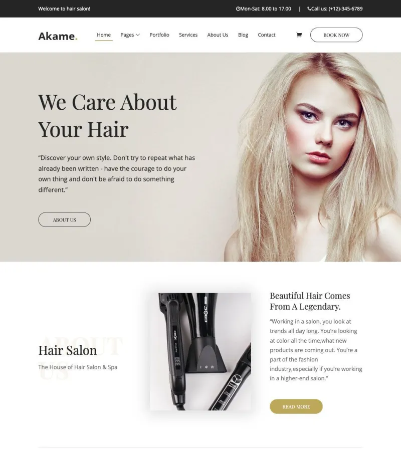 akame website template desktop screenshot